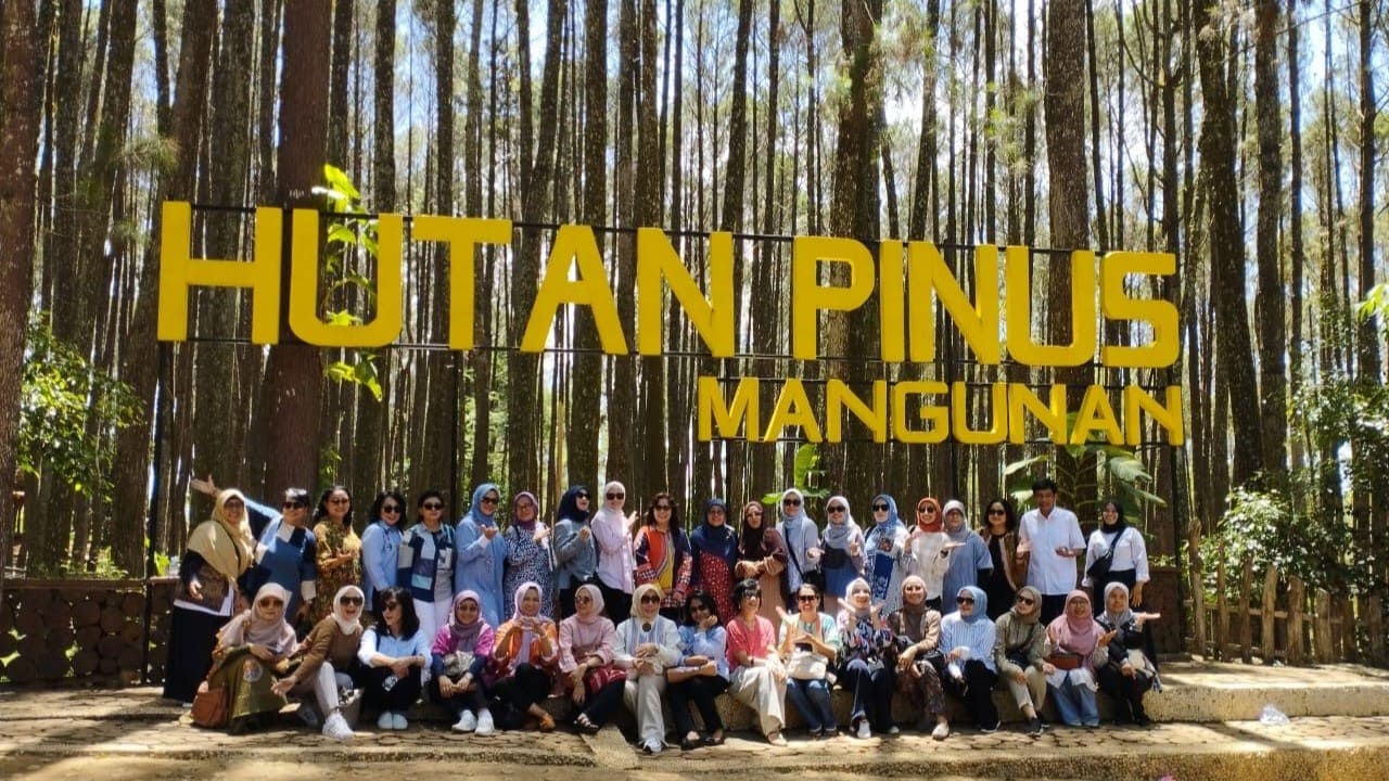 Hutan Pinus